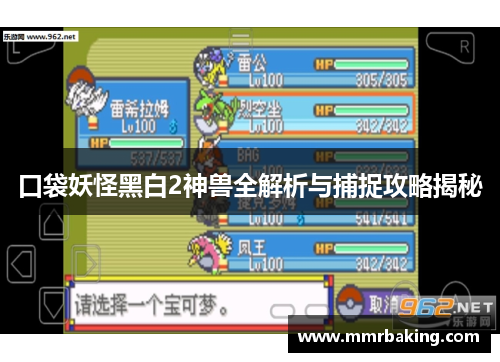 口袋妖怪黑白2神兽全解析与捕捉攻略揭秘